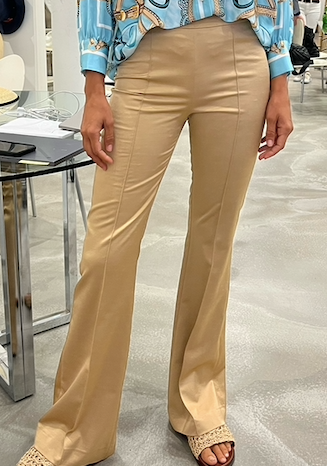D-Exterior Gold Lux pants