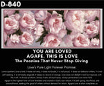 Load image into Gallery viewer, Love's Pure Light Are you Loved
