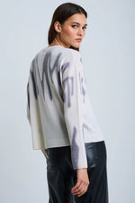 Load image into Gallery viewer, Lisa Todd sweater Freeform
