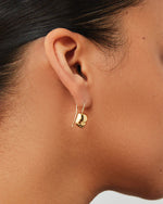 Load image into Gallery viewer, Jenny Bird Rue Drop Earrings
