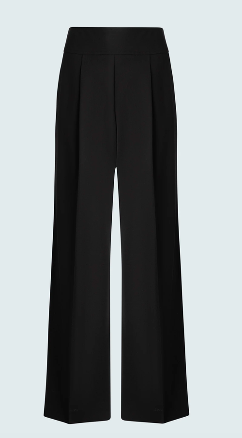 Iris Setlakwe Pintuck Wide leg pants in Black